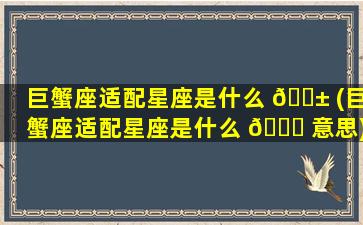 巨蟹座适配星座是什么 🐱 (巨蟹座适配星座是什么 🐝 意思)